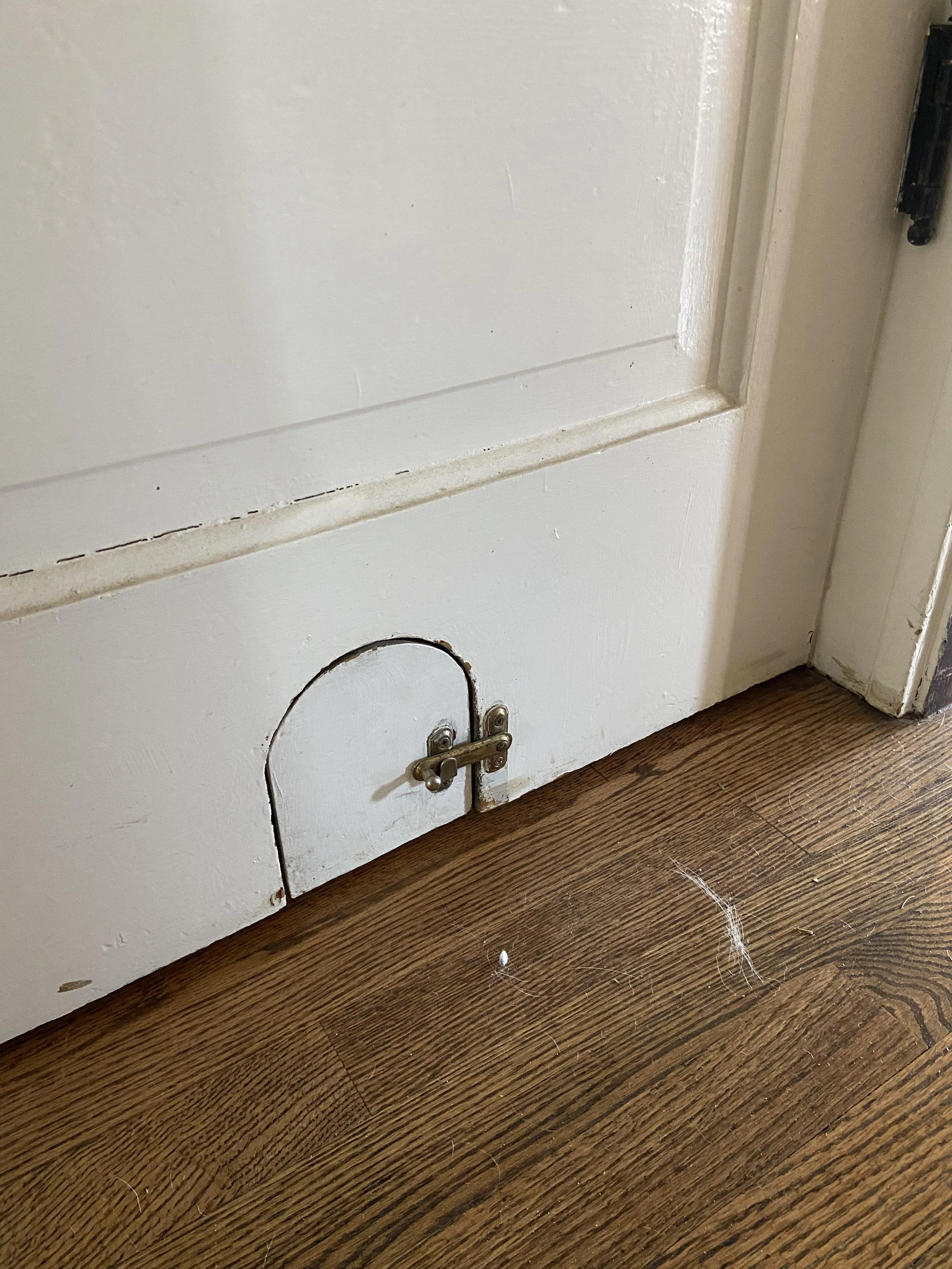 Do guys have a little door for your rats ?