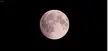 10 years ago today was the Total Lunar Eclipse known as the "Blood Moon" and here is a stabilized gif of that event.