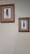 Any other like this?