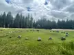 Froggymead Stone Circle, Fernworthy Reservoir, Dartmoor, Devon UK [OC]