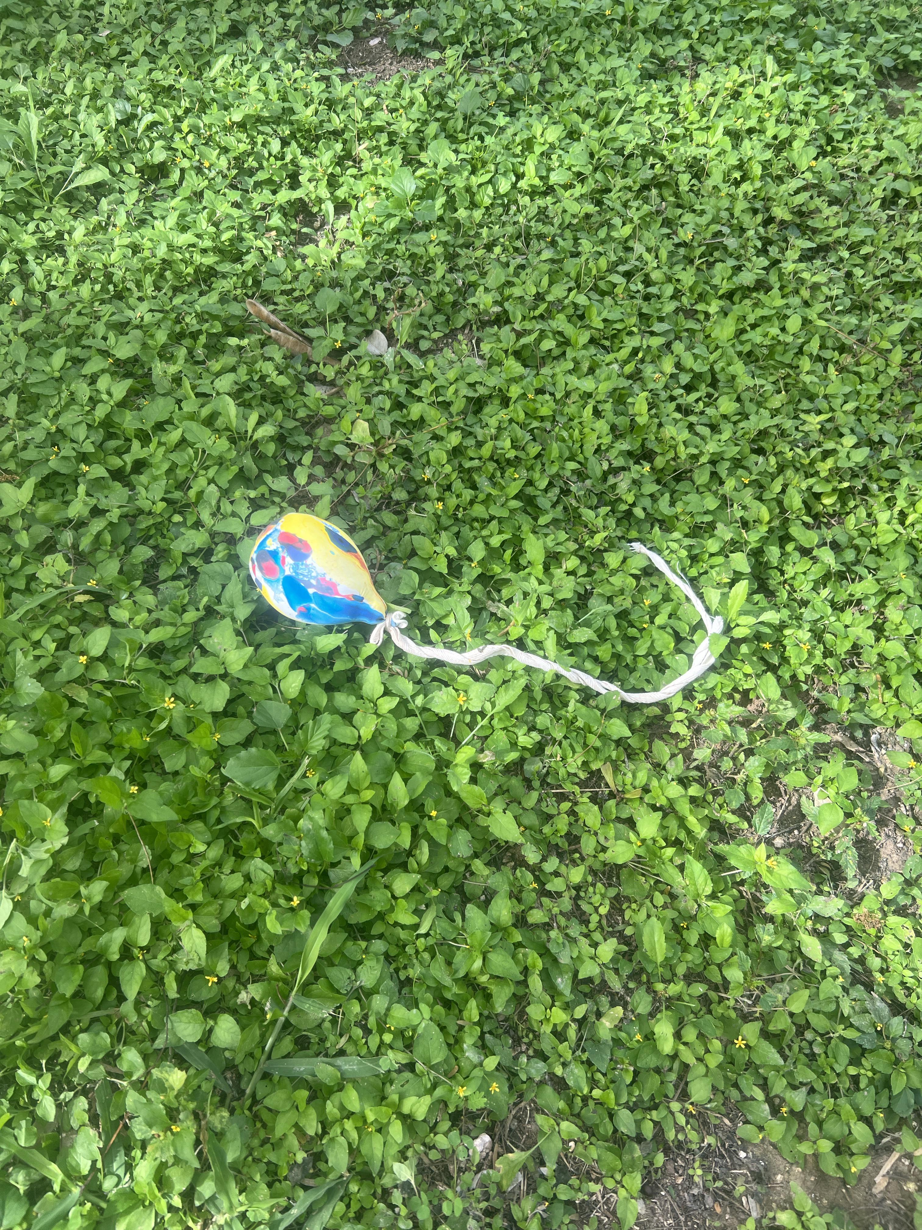 A colorful random balloon just appeared in my backyard with a weird ...