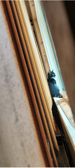 Messing around with a gif editor