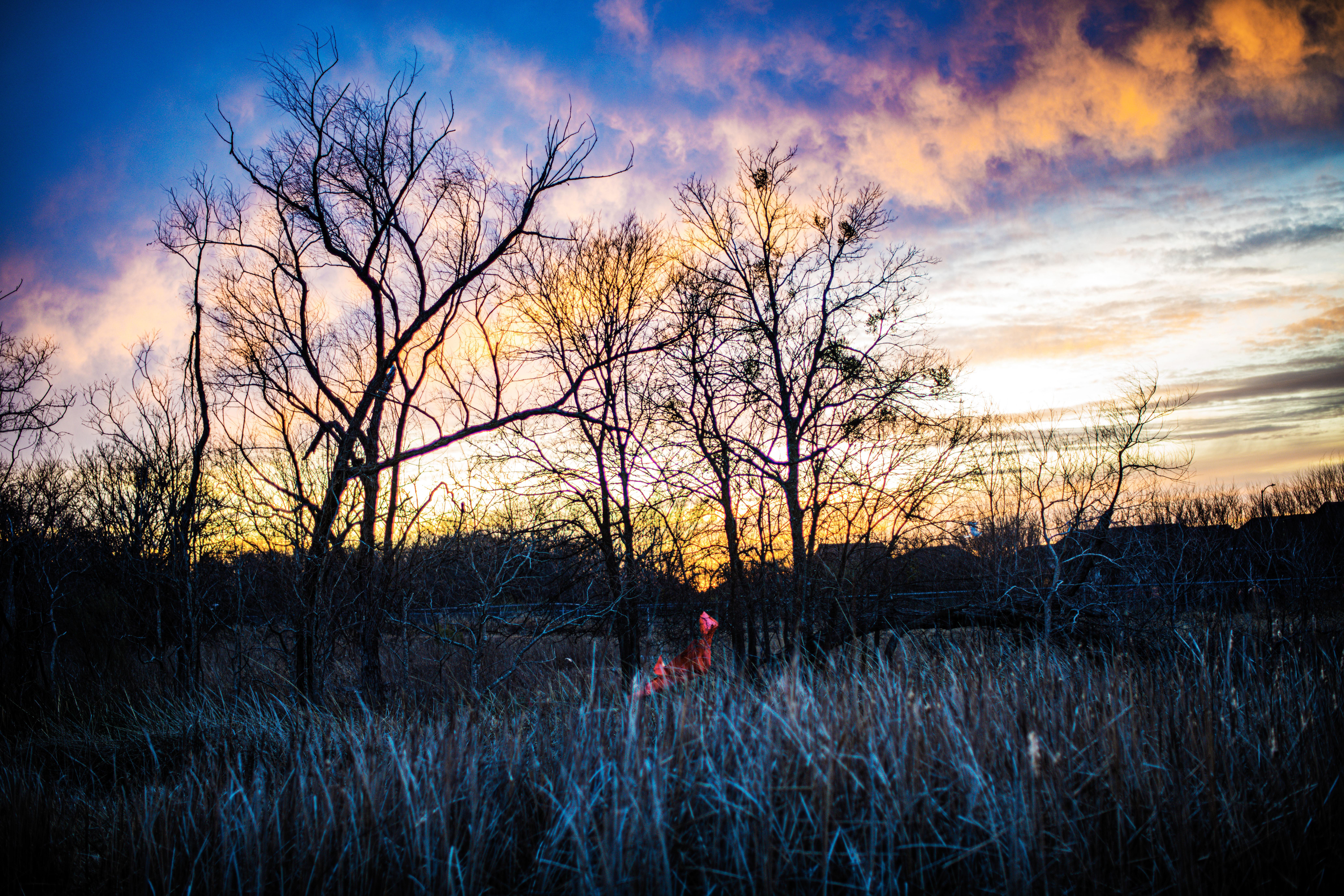 Sunset by a dry lake bed [OC]