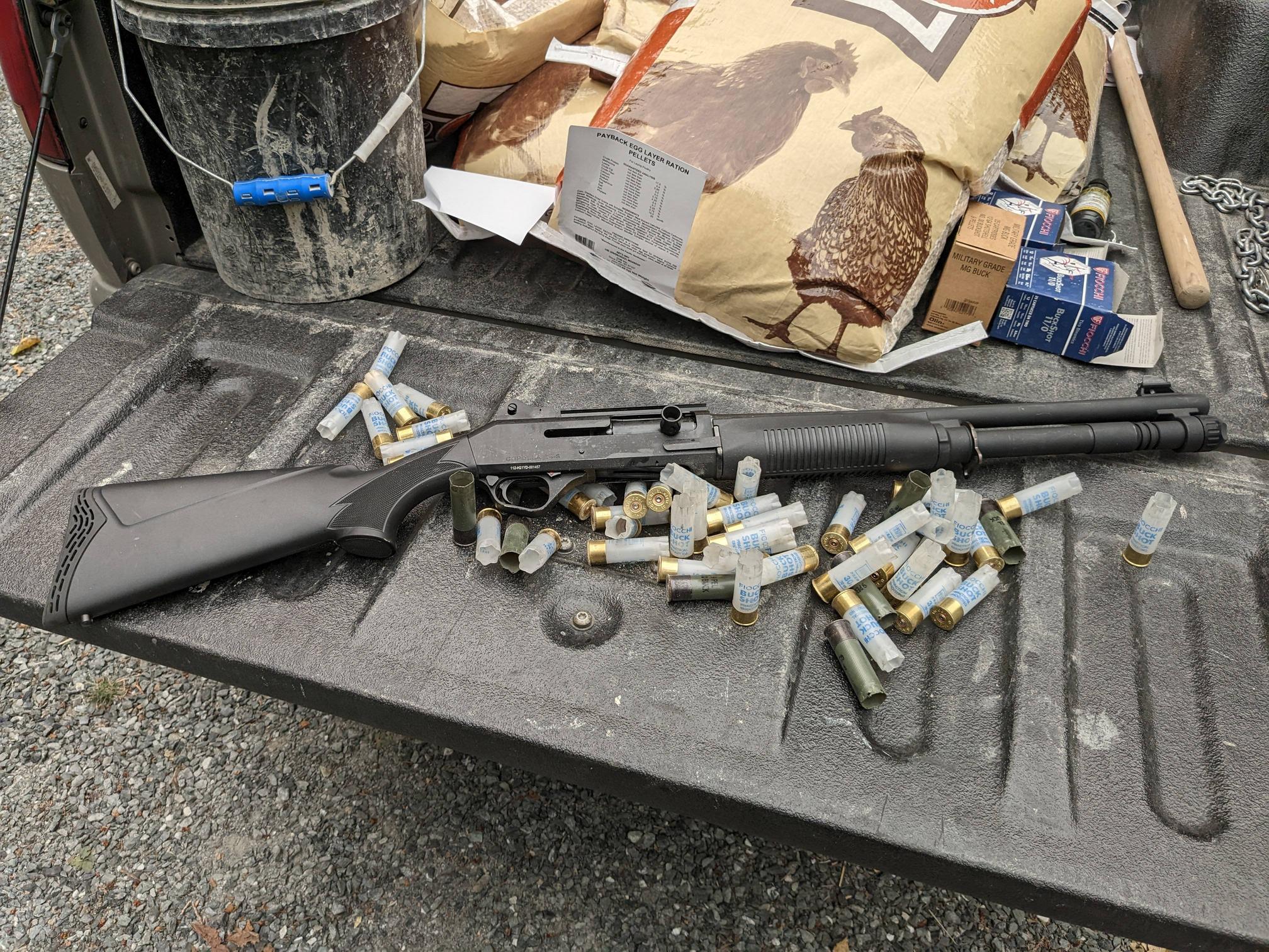 A brief review of the Four Peaks Copolla T4-S