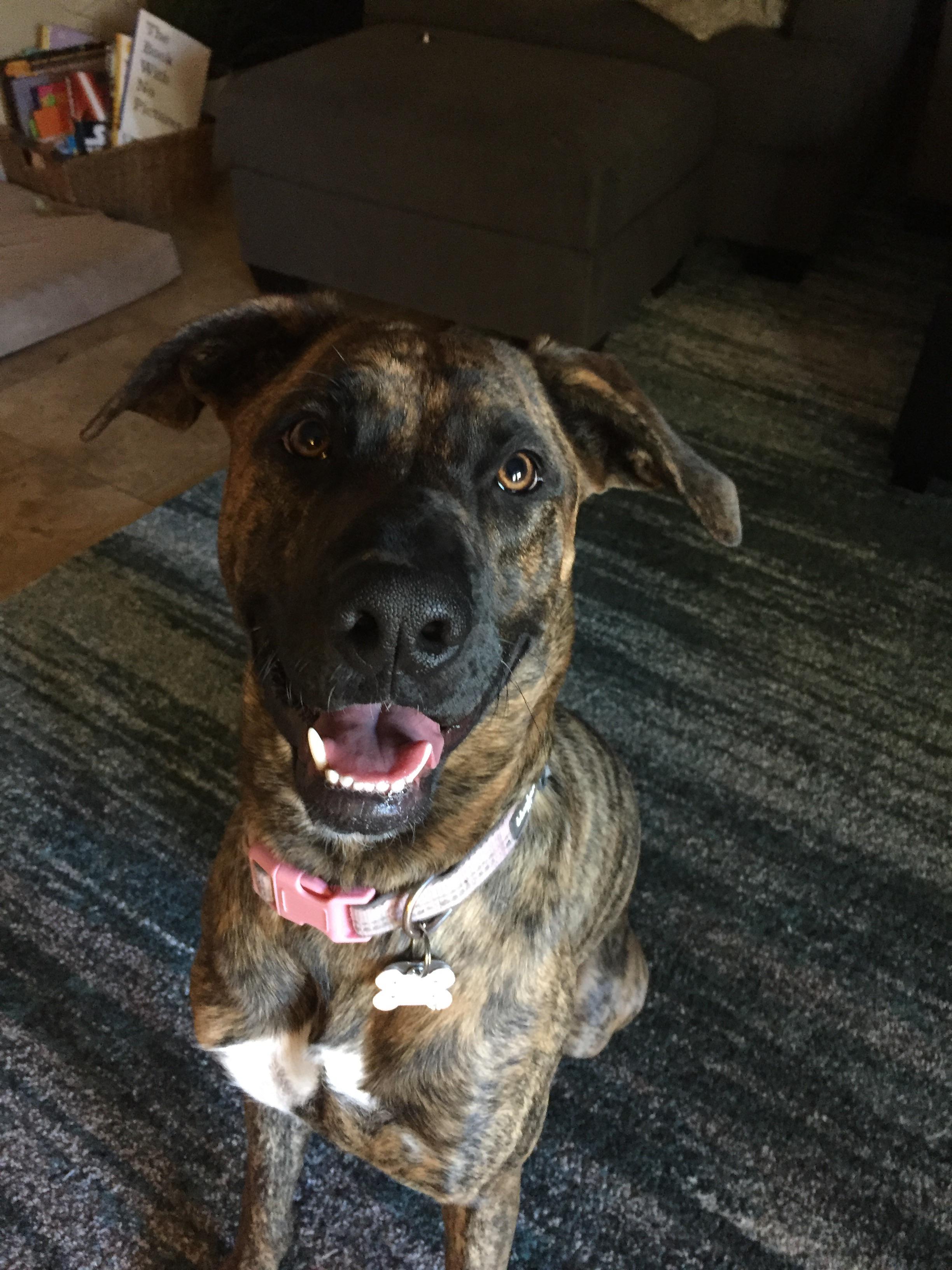 She’s always smiling Scrolller