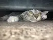 Very tight fit