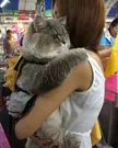 Big boi's day out