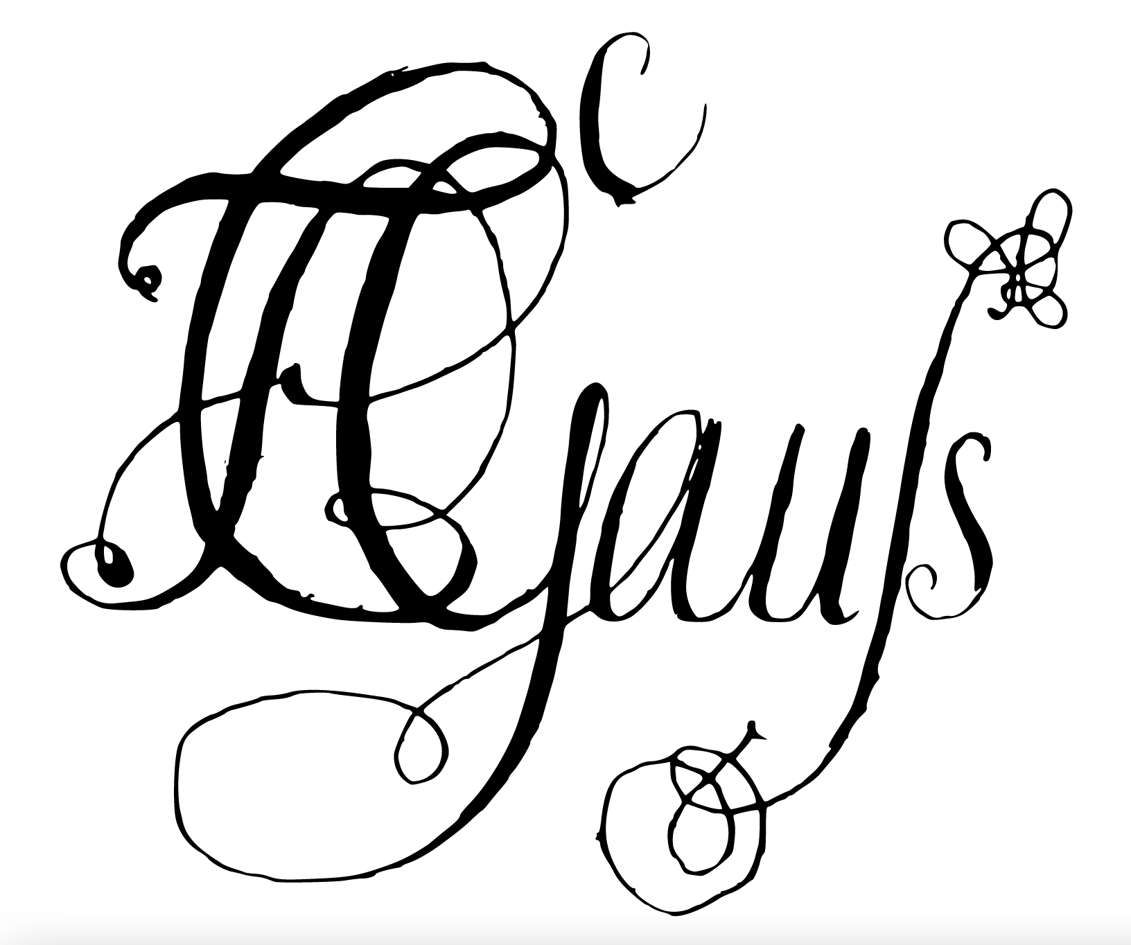 Carl Friedrich Gauss' Signature: Famous mathematician, the F, and G form a π, don't know if it's intentional though