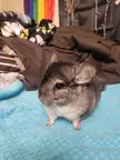 Exploration time