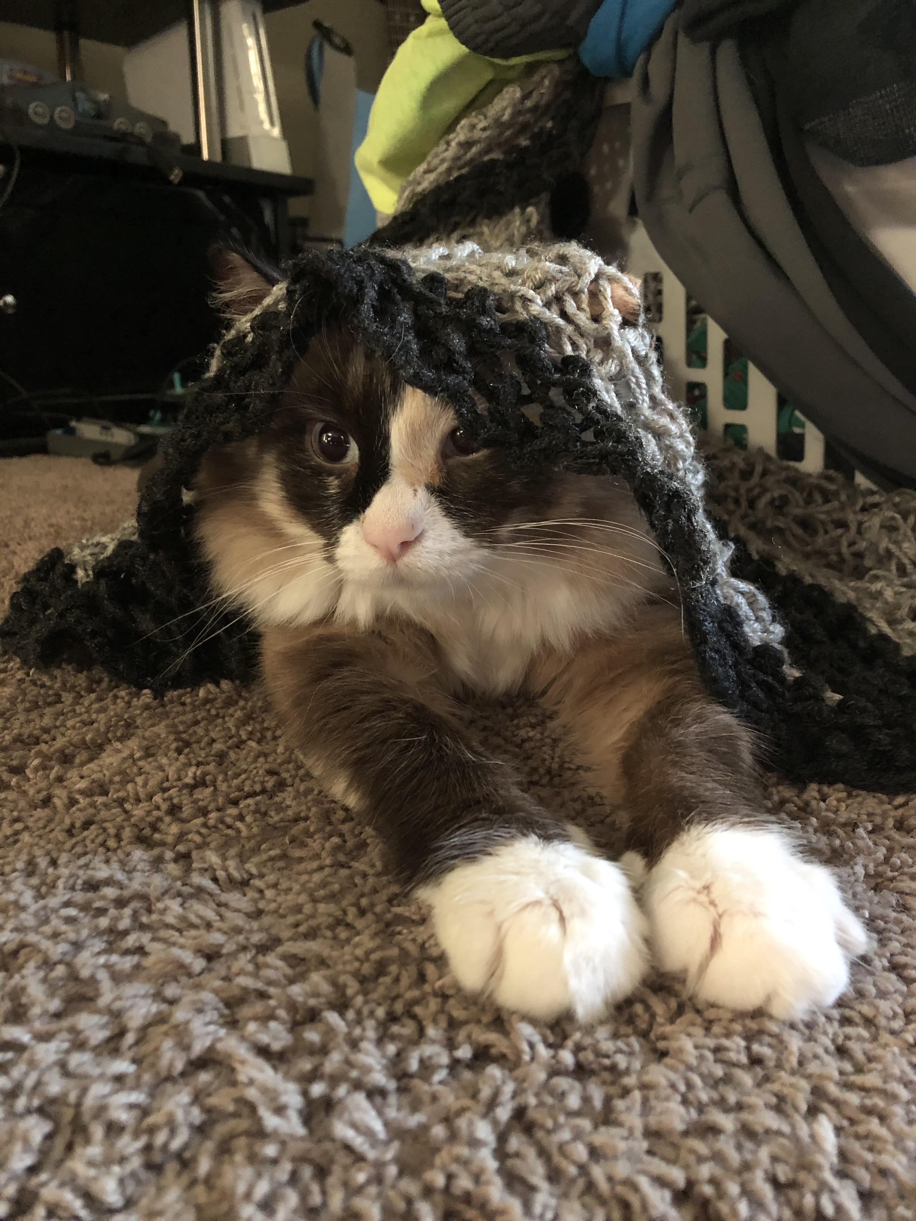 Not good at hiding