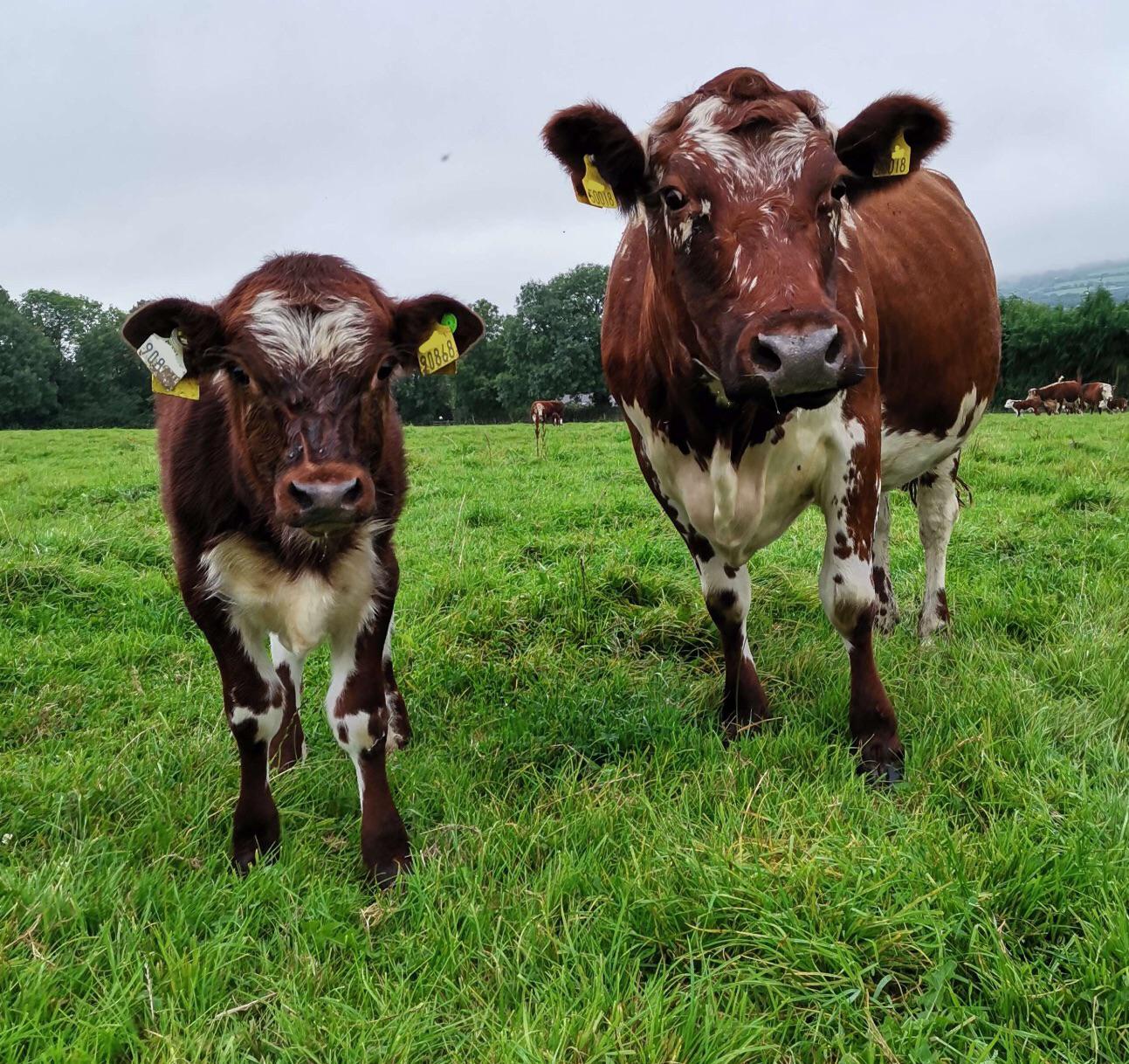 Lindor with his mom, Linda