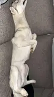 Living his best life