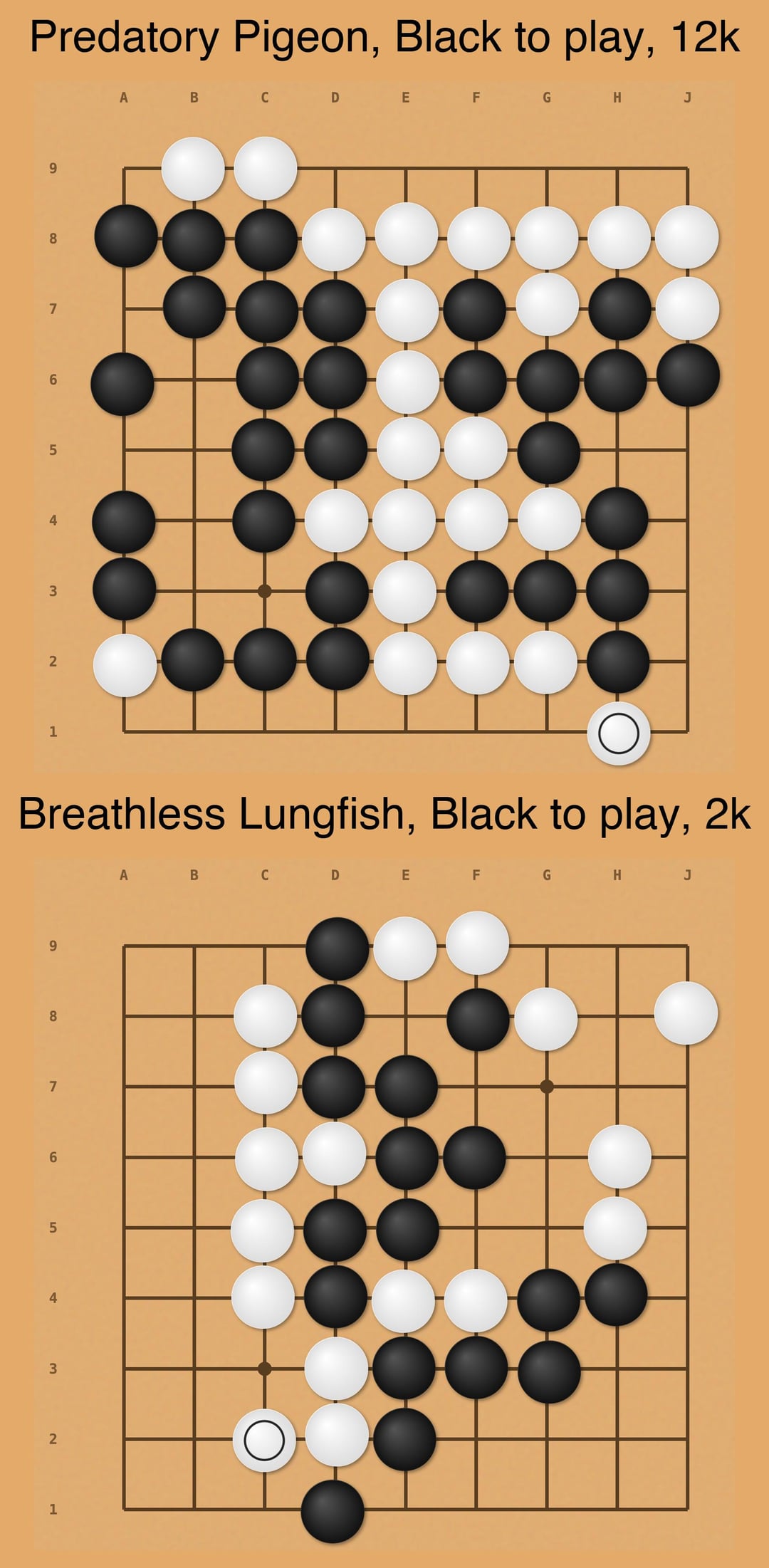 baduk
