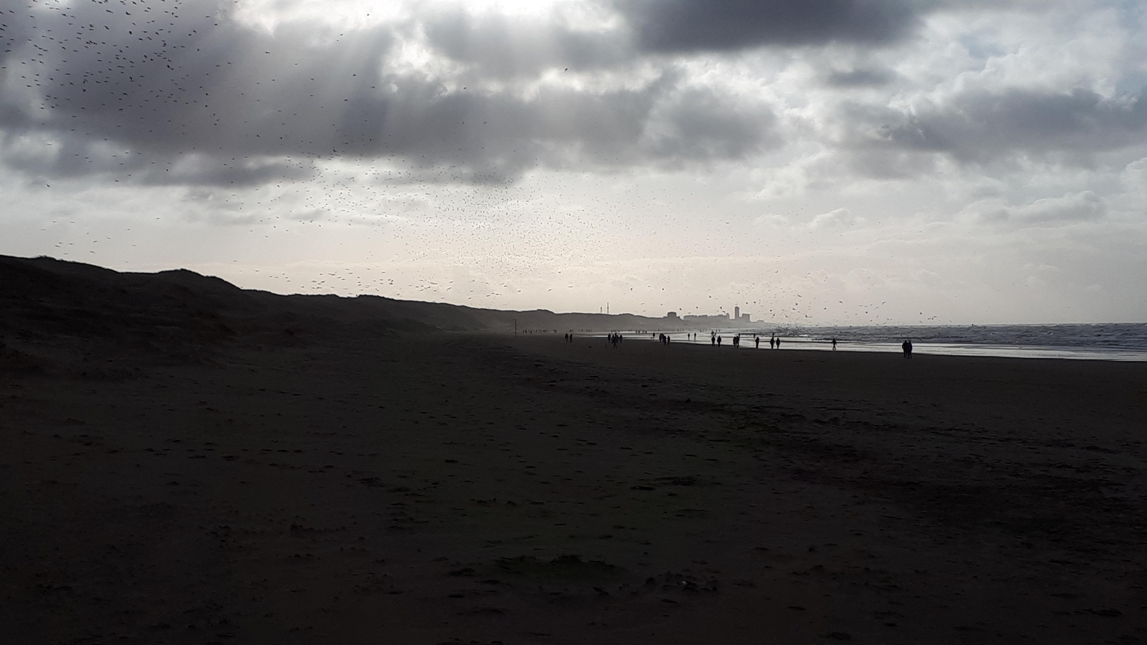 Dark beach in the Netherlands