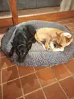 Best friends 💓