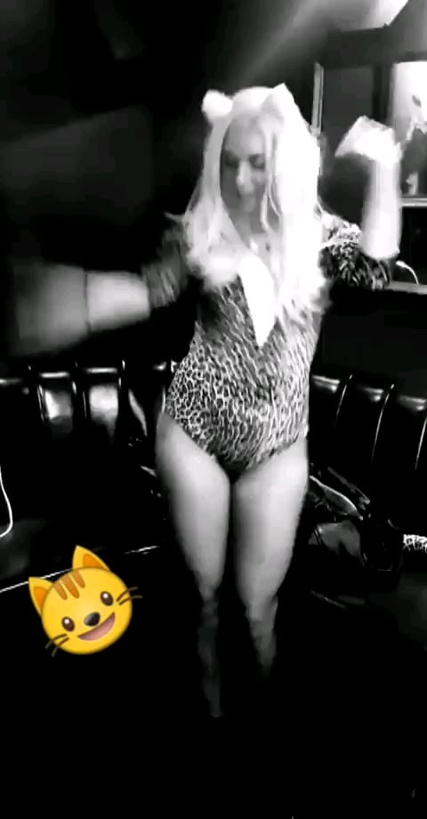 Cat Kish