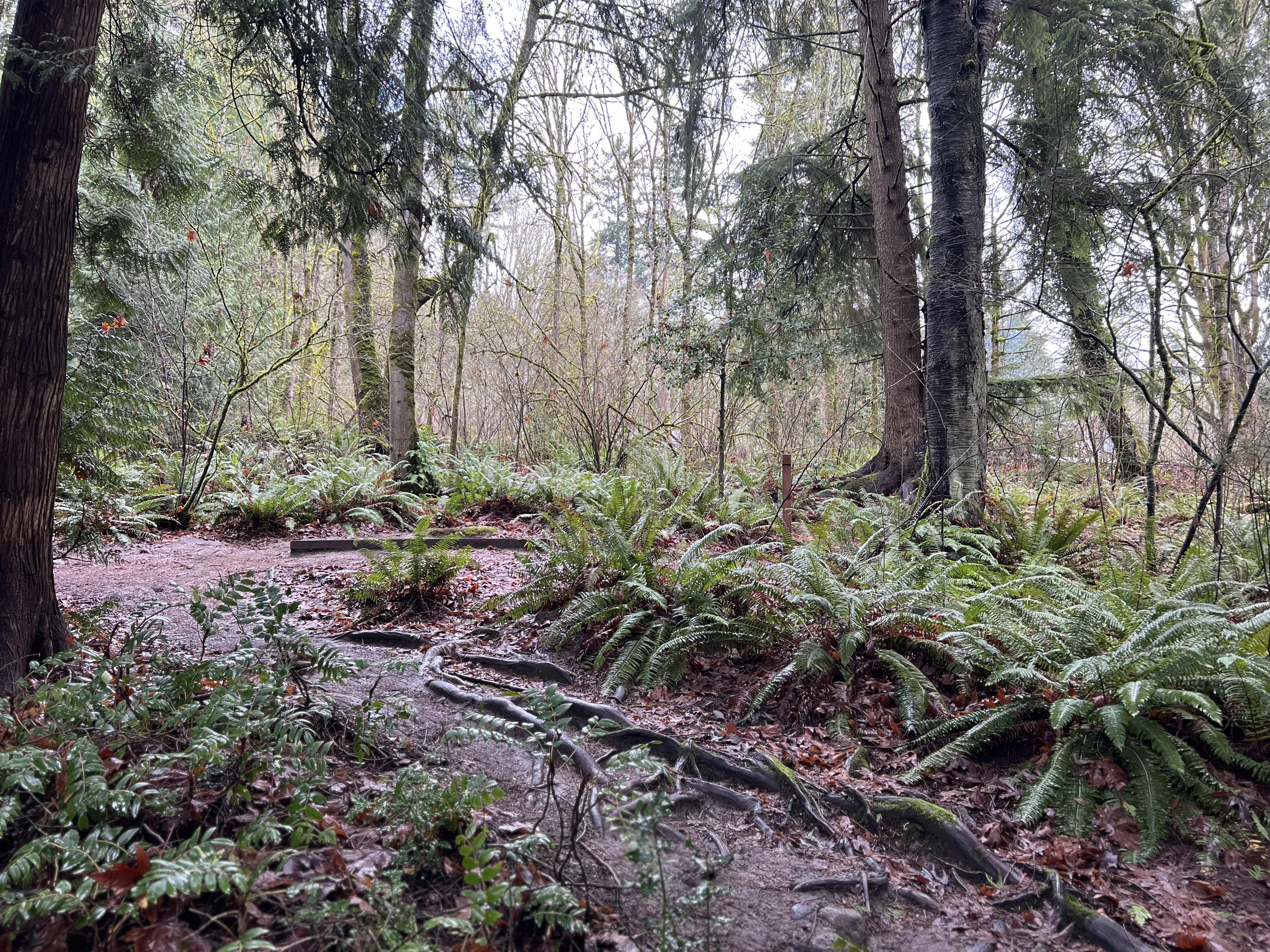 Blyth Park in Bothell, WA | Scrolller