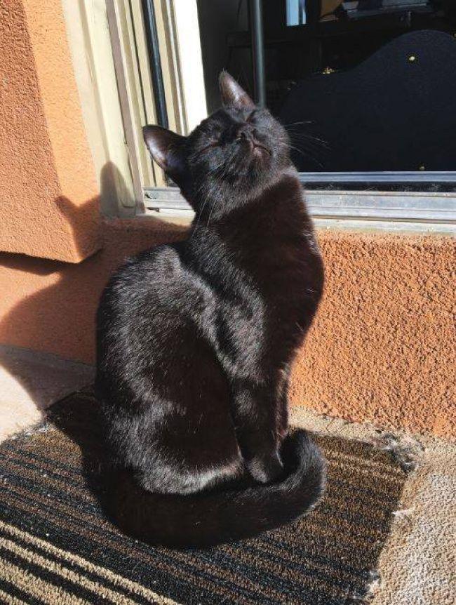 Black🥰