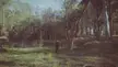 my girlfriend and I walking in the forest