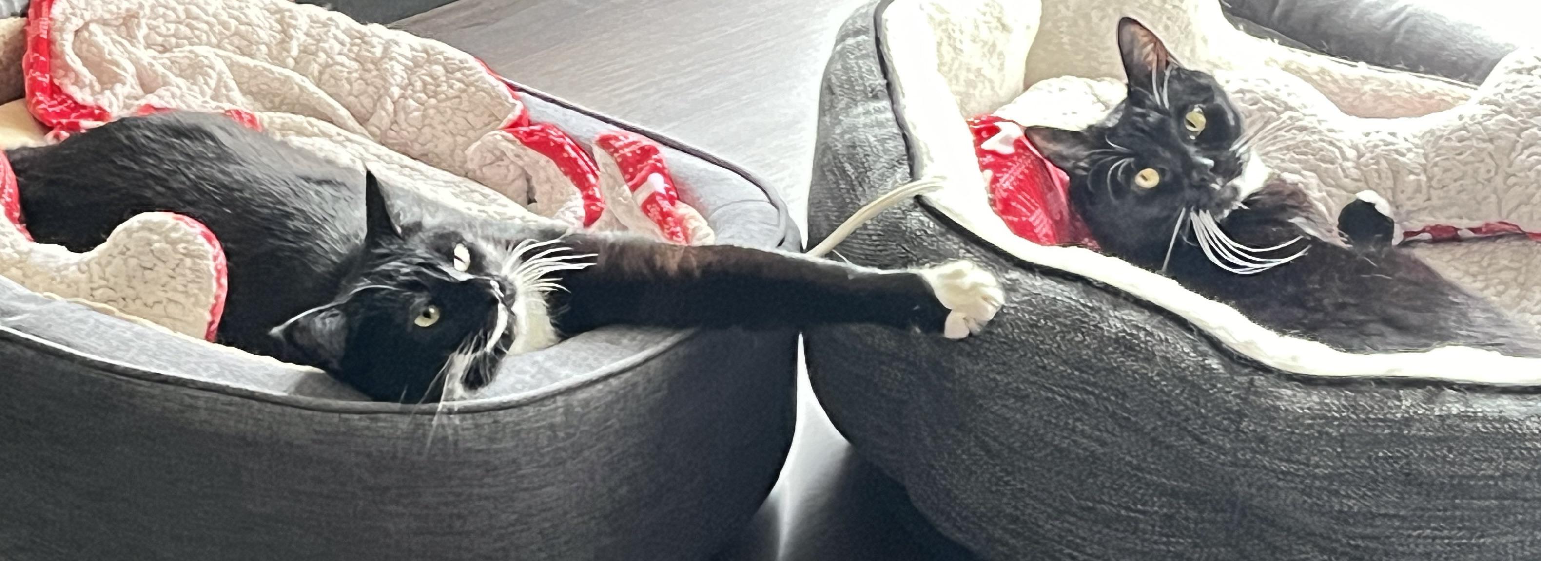 I asked them to pose for a picture