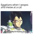 Psspss meow