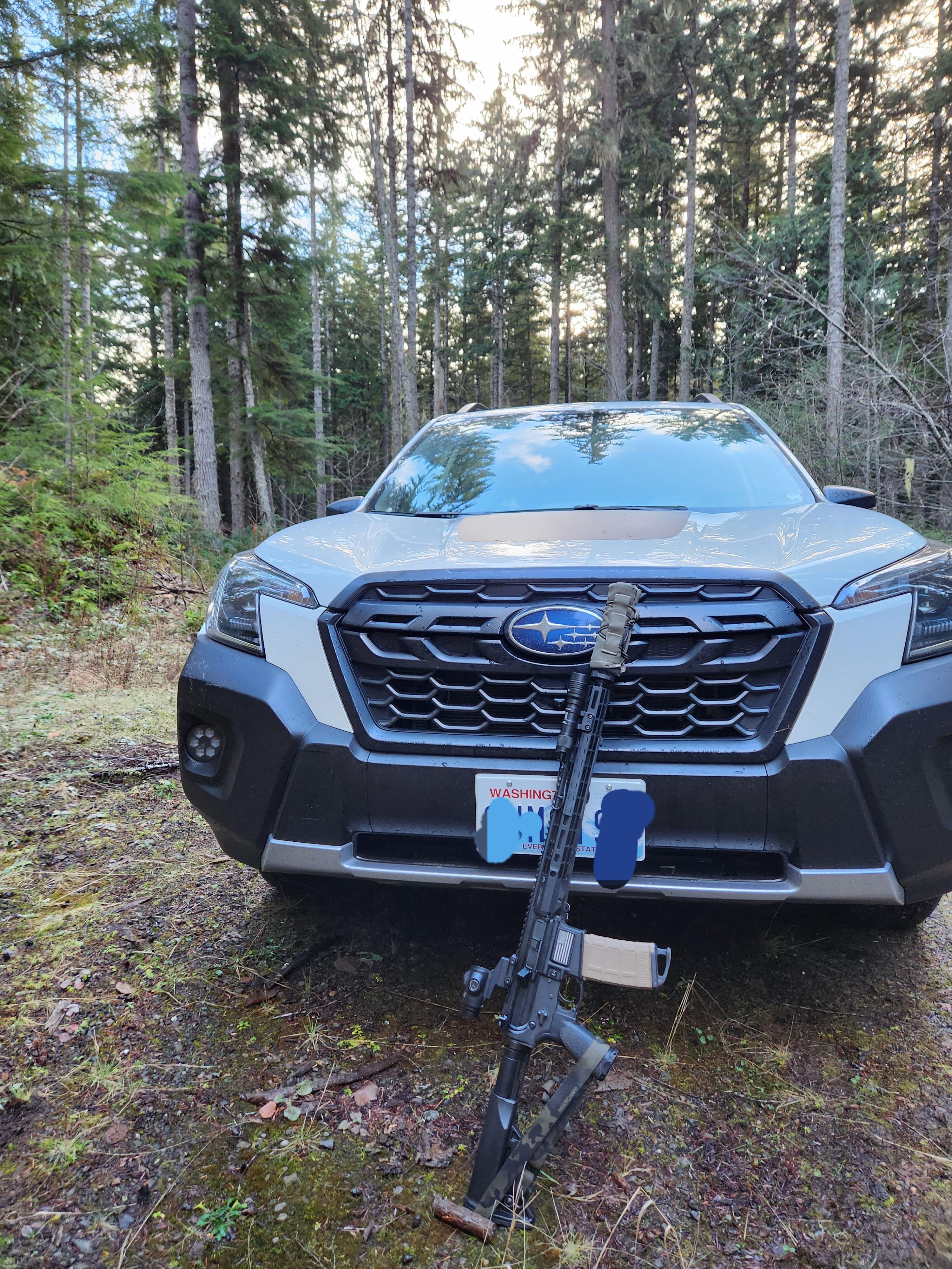 Shhhh...be very very quiet. We're hunting Subarus!