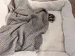 The right size bed for Noodle