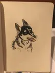 Share your most drawable dog pictures so I make a quick sketch of them