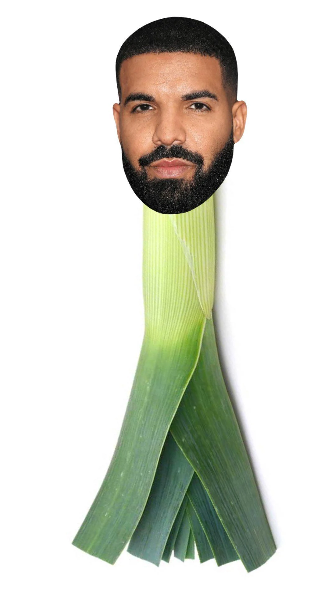 Yoo it's the drake leek | Scrolller