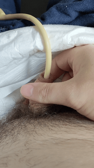 Solo Male