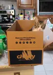 Look what got delivered