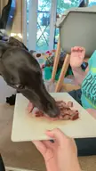 Nom nom nom 🍖