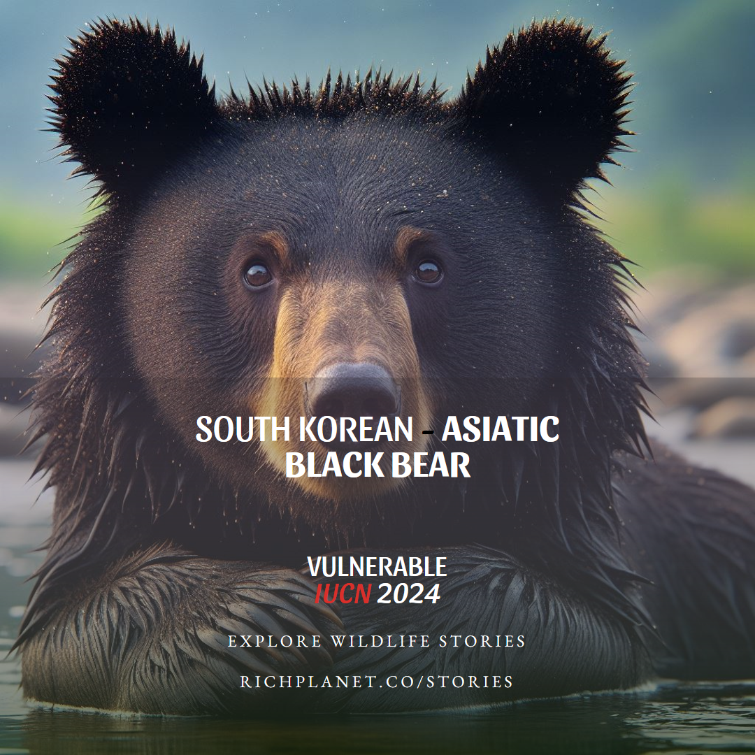 Endangered Animals and Species in South Korea 2024: https://www.richplanet.co/stories/endangered-species-in-south-korea