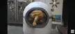 Automatic self-cleaning litter box becomes a death trap if the sensor doesn't work.