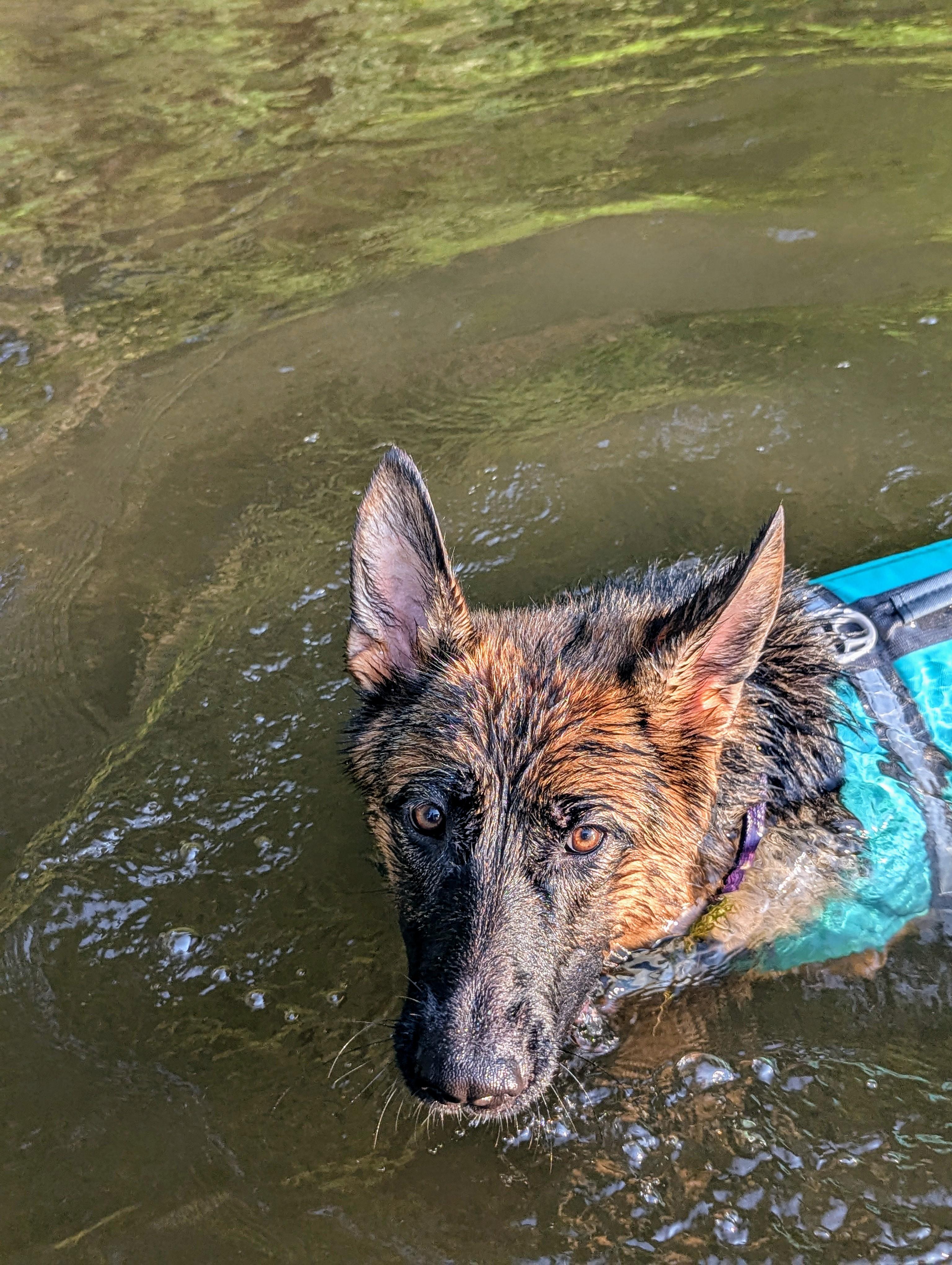 Lake days 