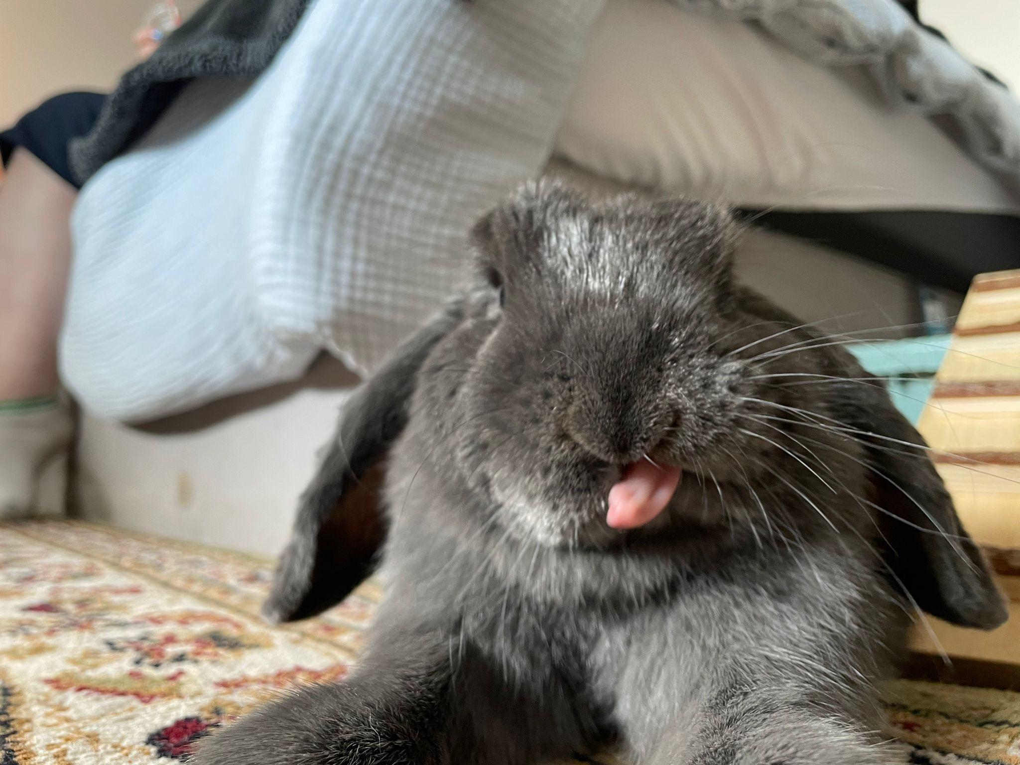 Peeing And Digging Scrolller