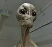 Alien grey bust. (resin casting) by artist ARIS KOLOKONTES