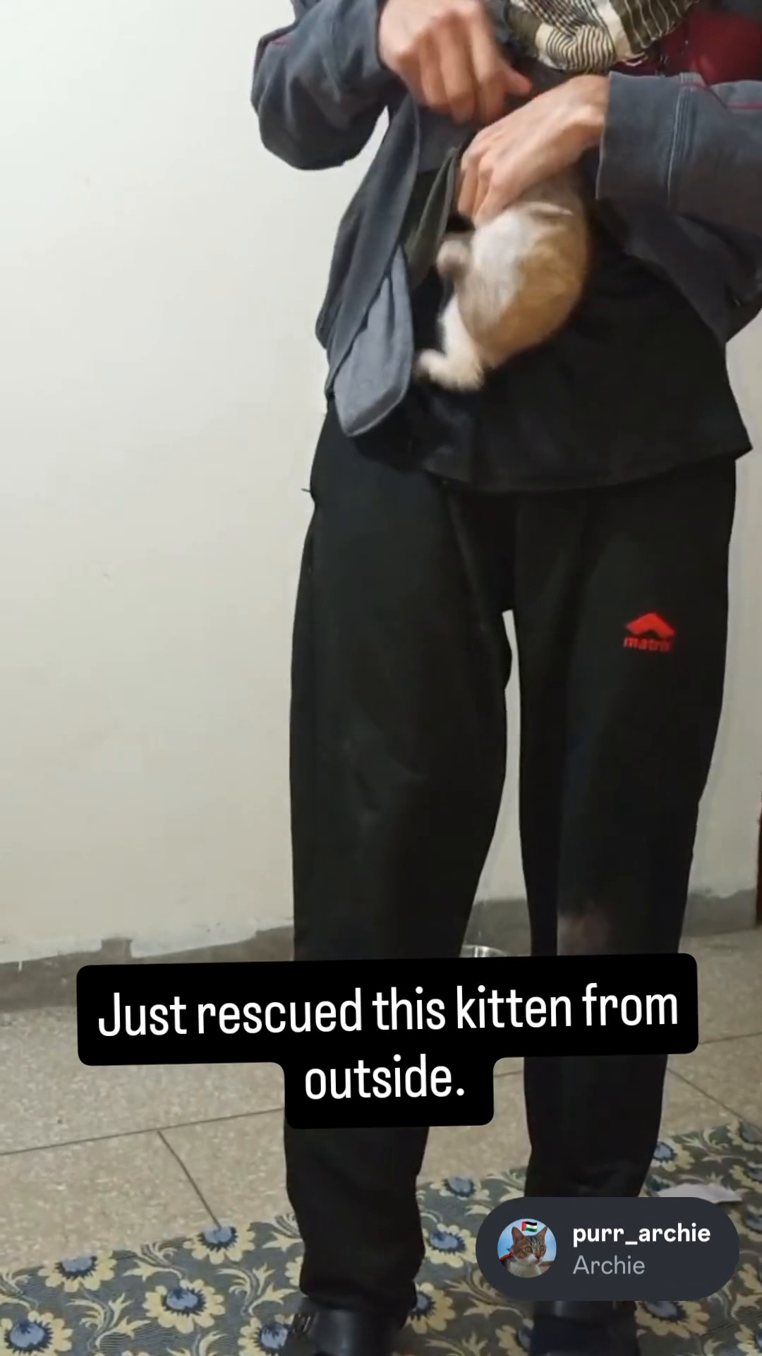 Found this kitten crying and scared.