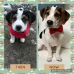 Amazing how much he has grown up in just 4 months! No longer my chubby little baby now he is turning into my handsome boy!