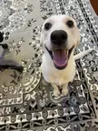 She has the cutest smile ❤️