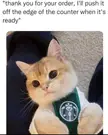 Welcome to Starbucks