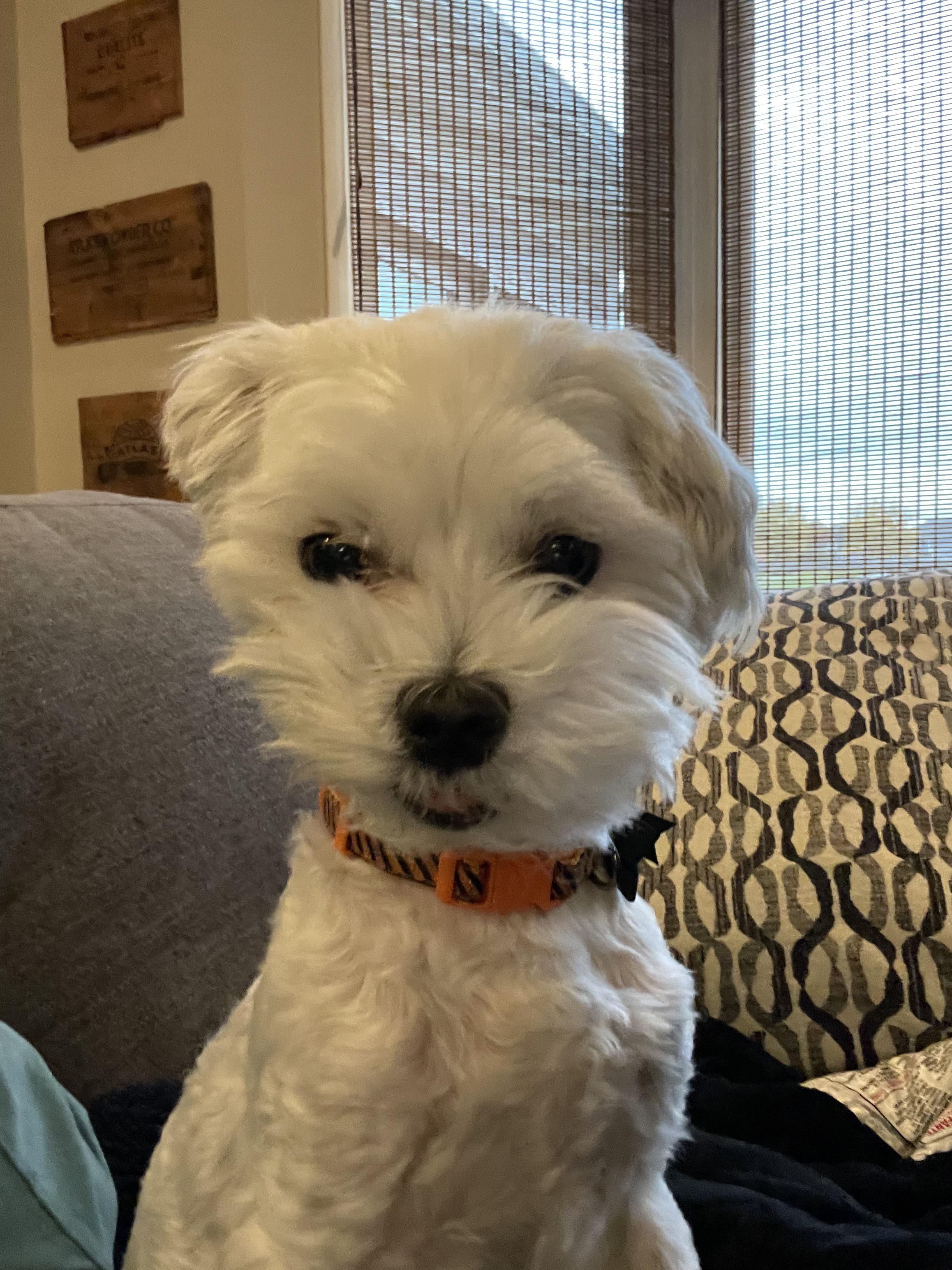 Epic smoosh face after a nap