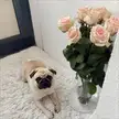 Hello for everyone