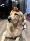Howdy pardner!