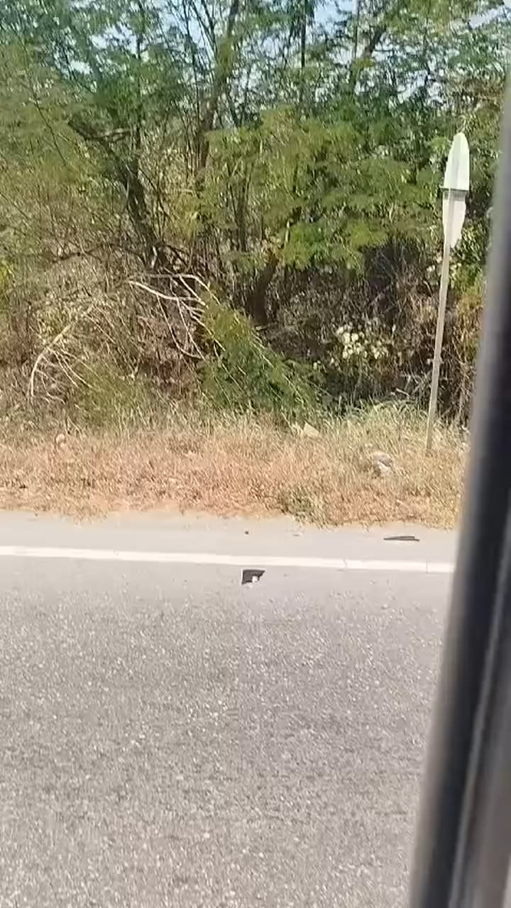 Hearse crashes with a semi truck, corpse gets out of its coffin