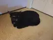 rate this loaf?