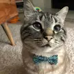 What a cutie