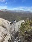 My husky loves to rock climb!