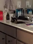 Caught a wild Celine in this sink trap.