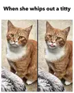 We can all relate